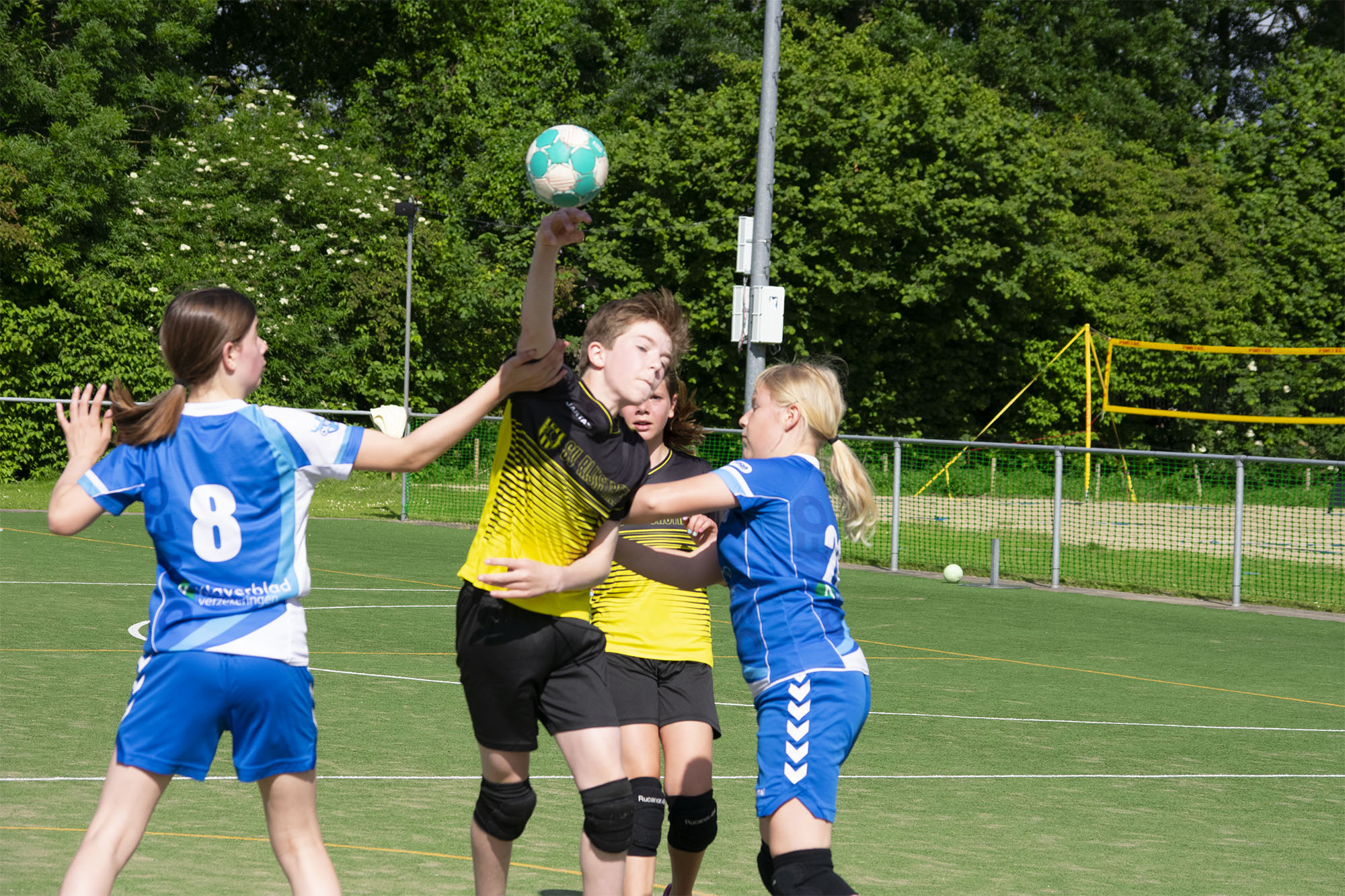 rijnstreek handbal alphen